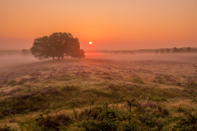 Voorbeeld